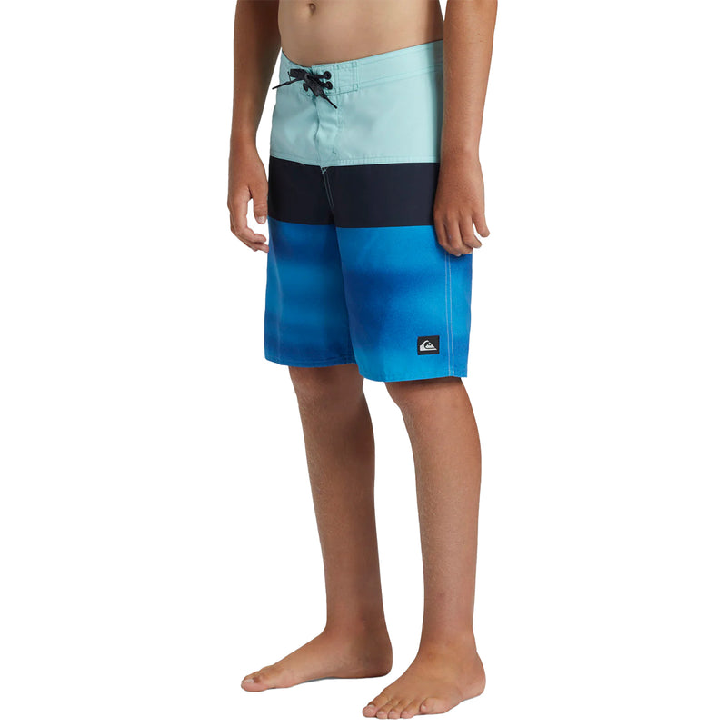 Load image into Gallery viewer, Quiksilver Youth Everyday Panel 17&quot; Boardshorts
