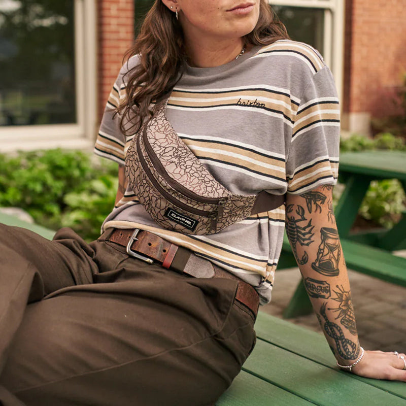 Load image into Gallery viewer, Dakine Classic Hip Pack