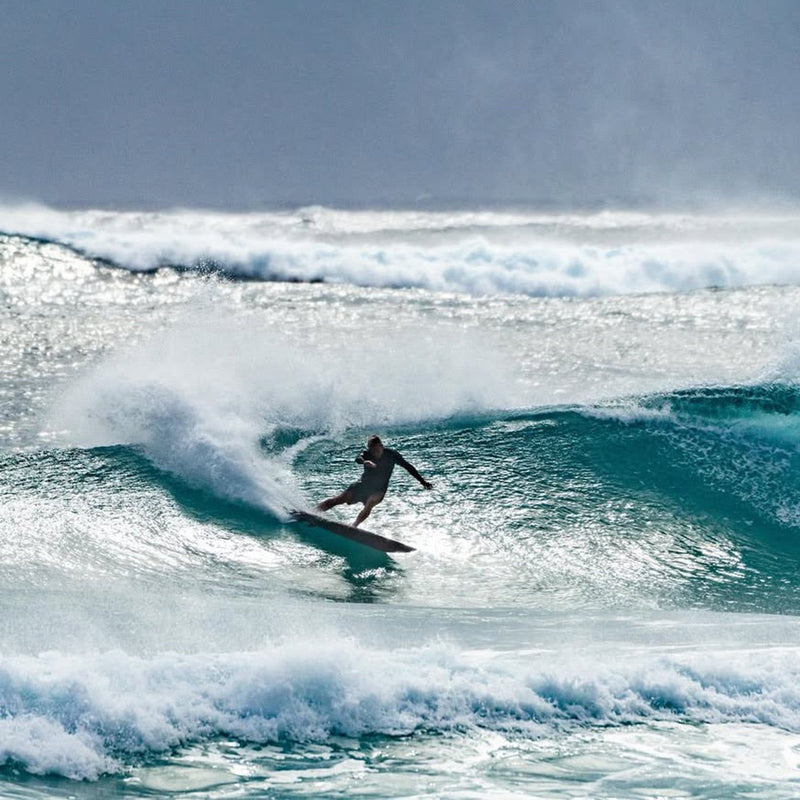 Load image into Gallery viewer, NVS Album Margo Apex Series Single Tab Quad Fin Set 7