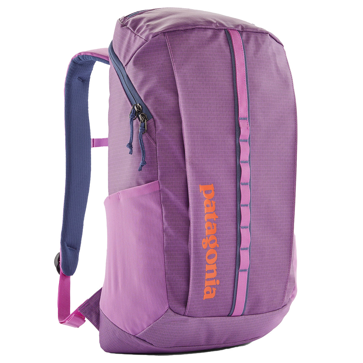 Patagonia Black Hole Backpack