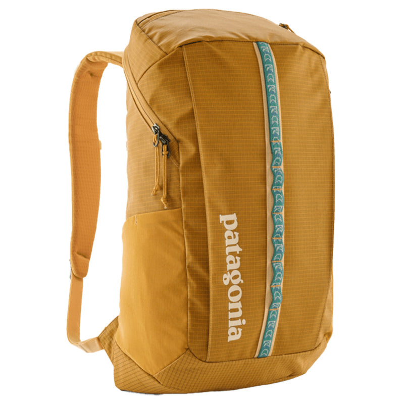 Load image into Gallery viewer, Patagonia Black Hole Backpack - 25L
