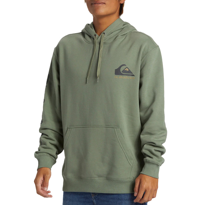 Load image into Gallery viewer, Quiksilver Omni Logo Pullover Hoodie

