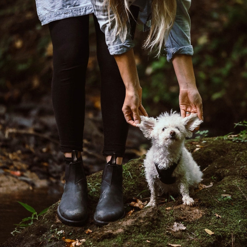 Load image into Gallery viewer, Blundstone Women's Classics #558 Chelsea Boots