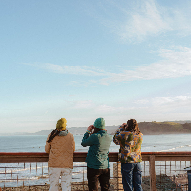 Load image into Gallery viewer, Nocs Provisions Field Issue 10×32 Waterproof Binoculars