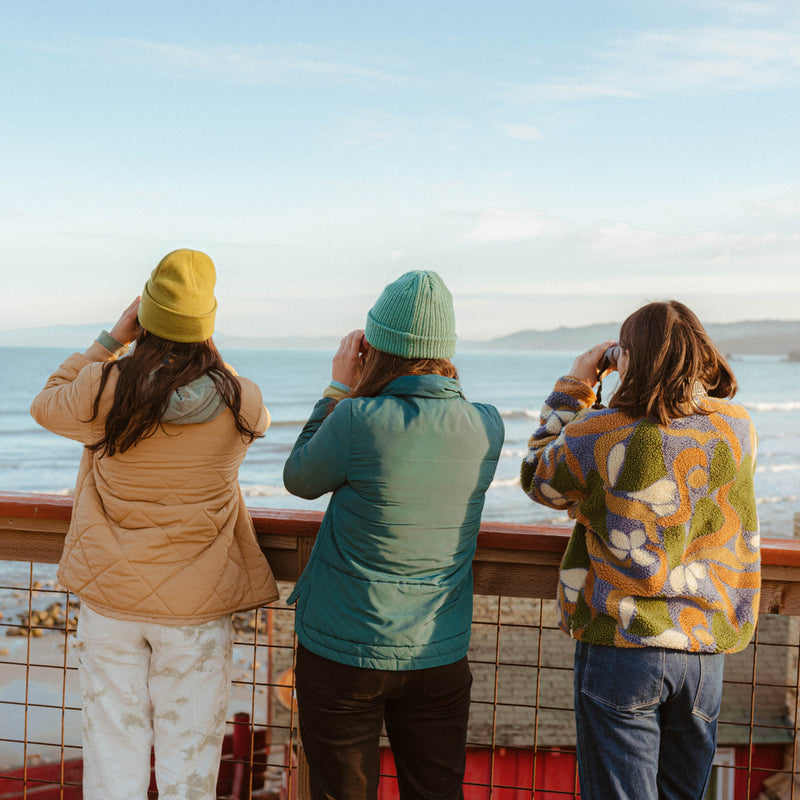 Load image into Gallery viewer, Nocs Provisions Field Issue 10×32 Waterproof Binoculars