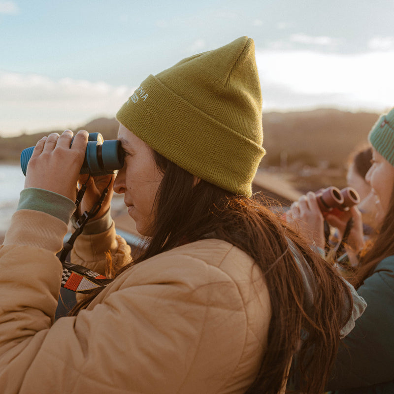 Load image into Gallery viewer, Nocs Provisions Field Issue 10×32 Waterproof Binoculars