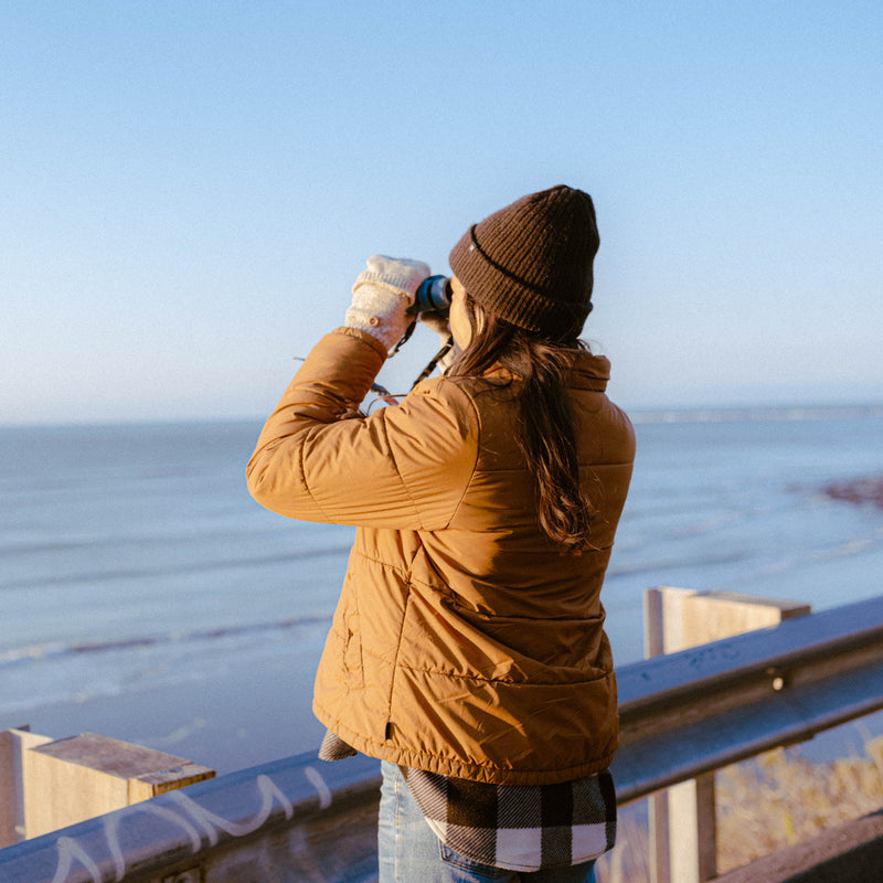 Load image into Gallery viewer, Nocs Provisions Field Issue 10×32 Waterproof Binoculars