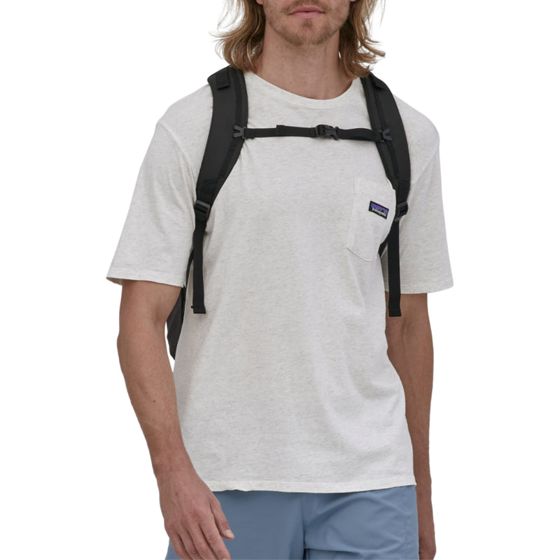 Load image into Gallery viewer, Patagonia Refugio Daypack Backpack - 30L