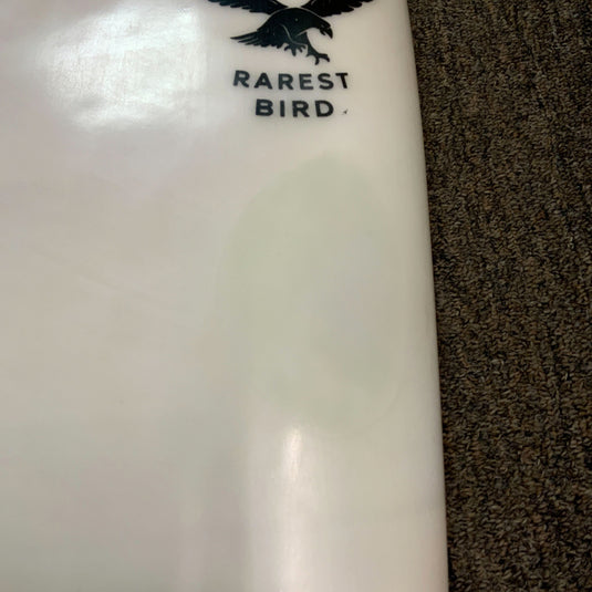 Chilli Rarest Bird 5'5 x 19 ⅝ x 2 5/16 Surfboard • USED