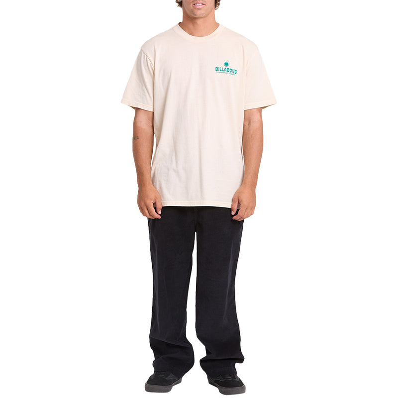 Load image into Gallery viewer, Billabong Glance Wave Washed Premium T-Shirt
