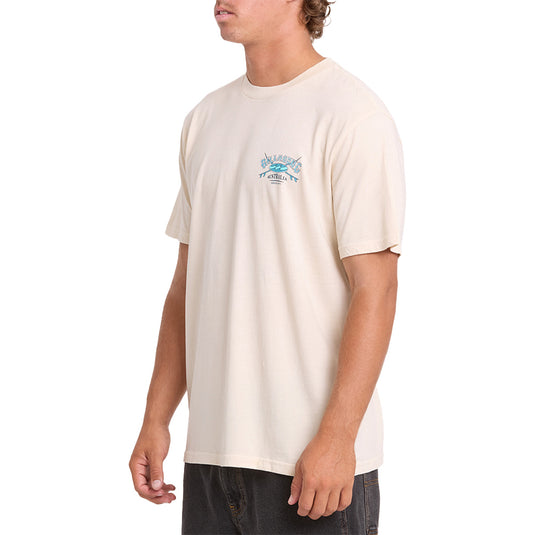 Billabong Arch Wave Washed Premium T-Shirt