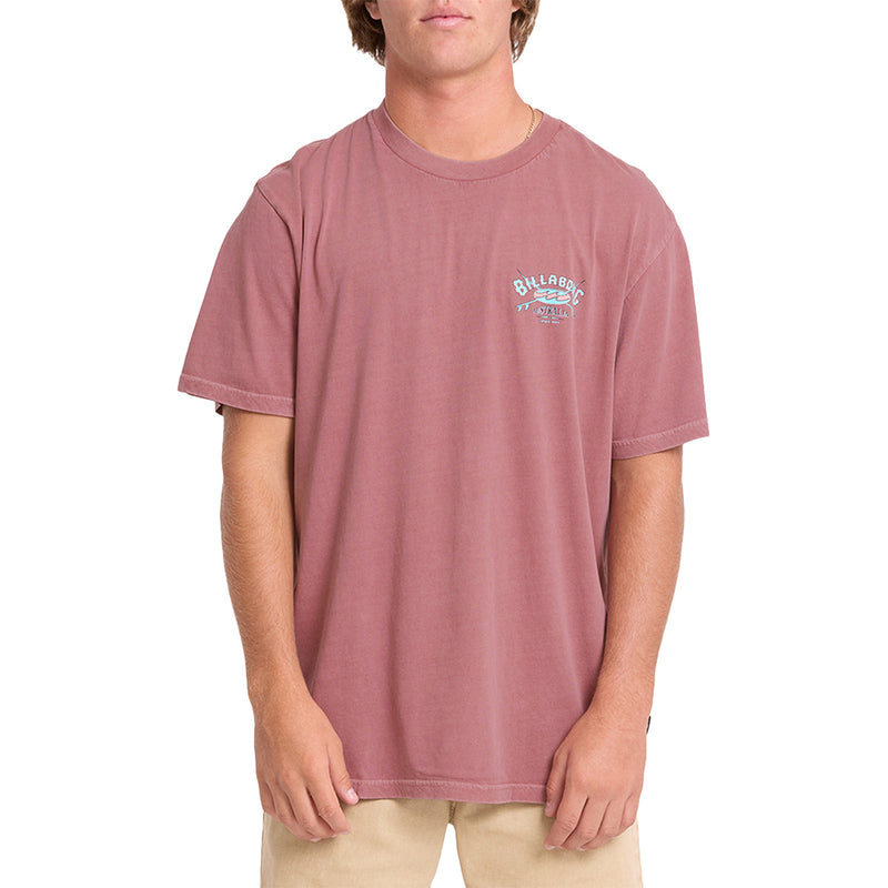 Load image into Gallery viewer, Billabong Arch Wave Washed Premium T-Shirt
