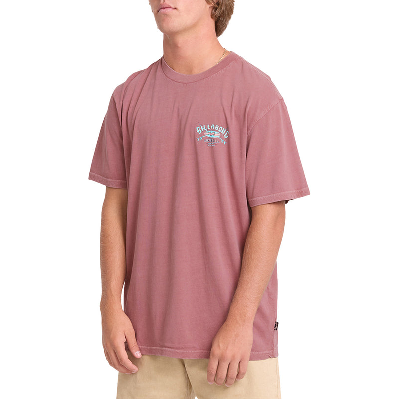 Load image into Gallery viewer, Billabong Arch Wave Washed Premium T-Shirt

