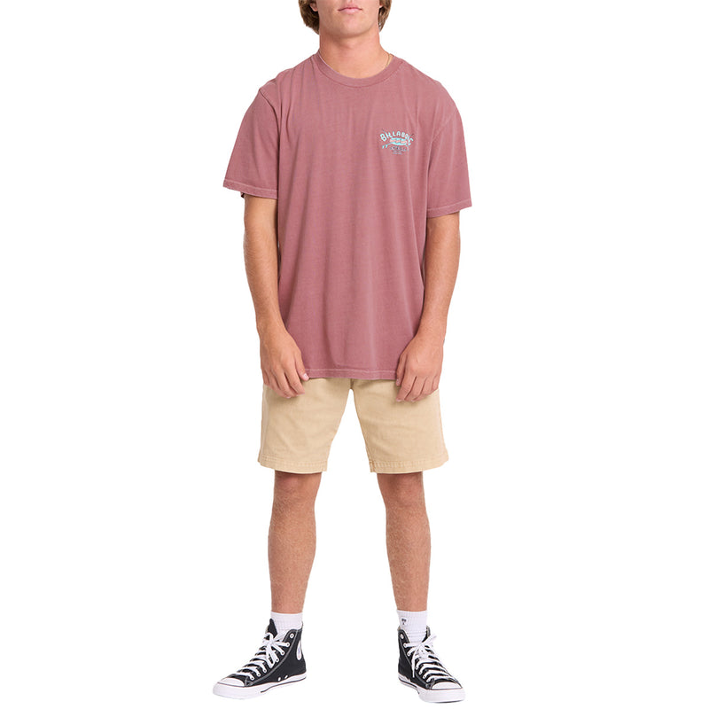 Load image into Gallery viewer, Billabong Arch Wave Washed Premium T-Shirt
