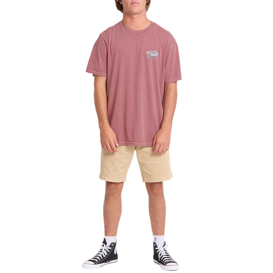 Billabong Arch Wave Washed Premium T-Shirt