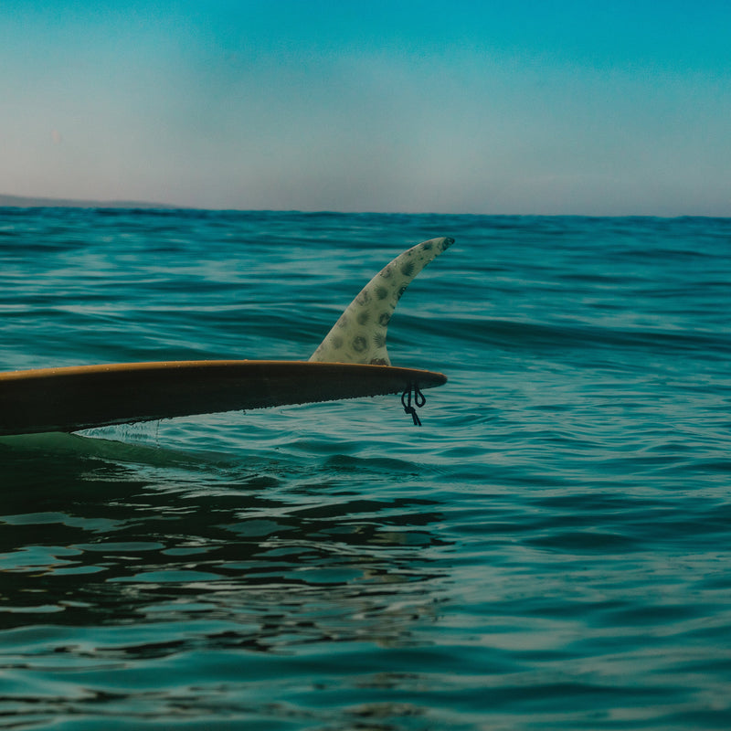 Load image into Gallery viewer, Mid Fin Co. Loindaflow Double Take Single Fin
