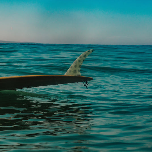 Mid Fin Co. Loindaflow Double Take Single Fin