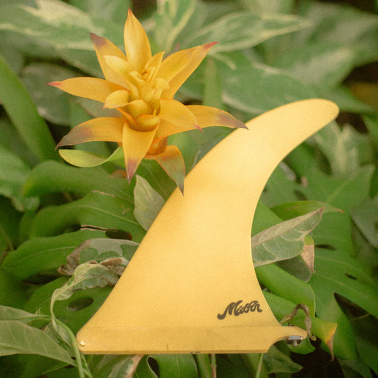 Mid Fin Co. Blondie Classic Single Fin 5
