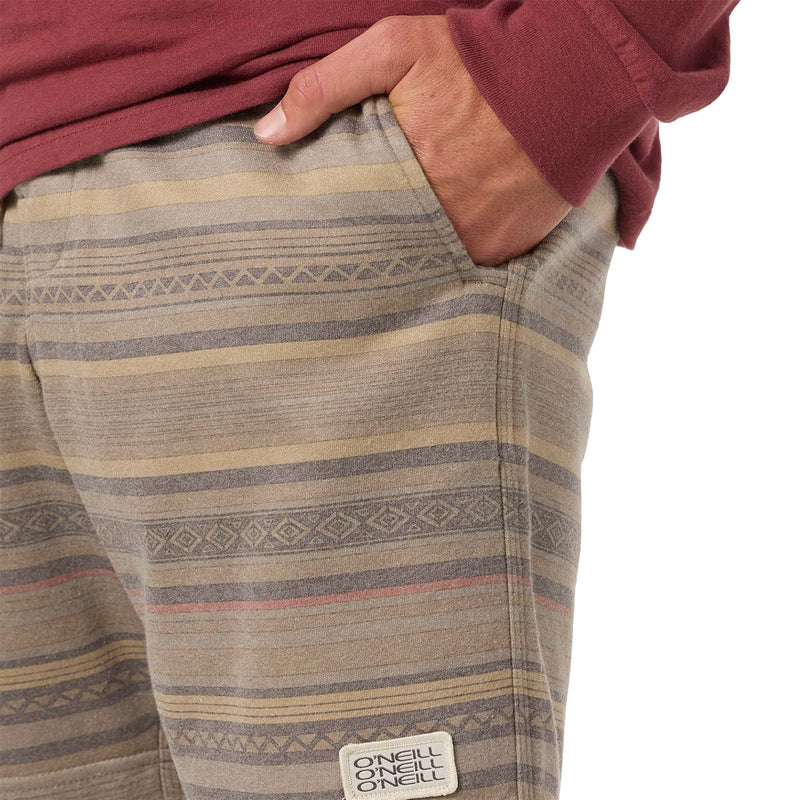 Load image into Gallery viewer, O'Neill Cortez Fleece 18" Shorts 6
