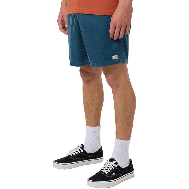Load image into Gallery viewer, O'Neill O'riginals Cord 18" Shorts 5
