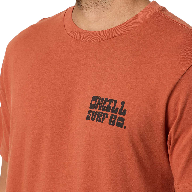 Load image into Gallery viewer, O'Neill De La Cruzer Classic T-Shirt 6

