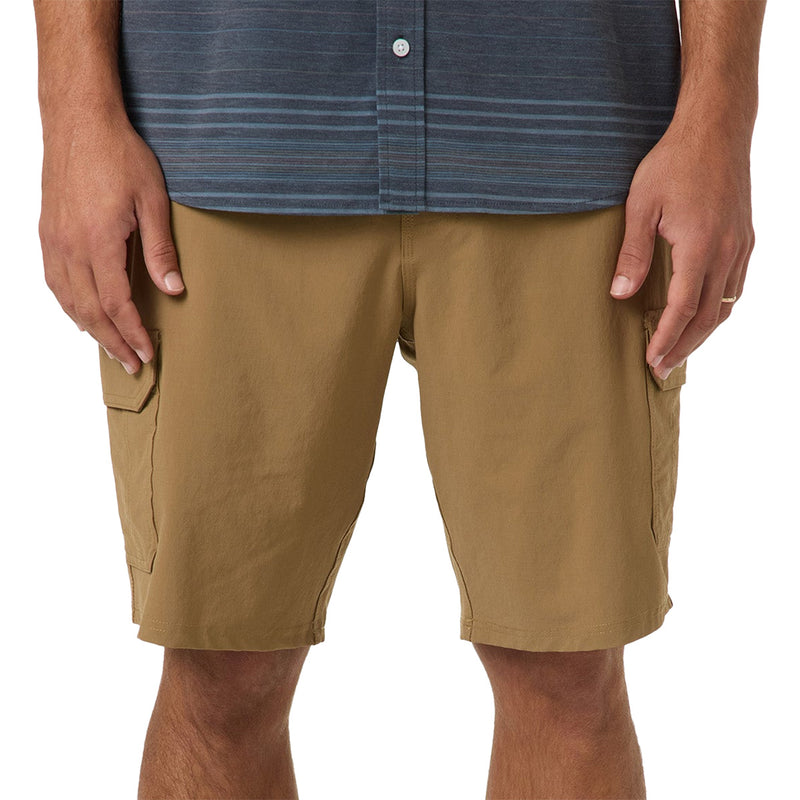 Load image into Gallery viewer, O'Neill TRVLR Cargo Hybrid 20" Shorts 3
