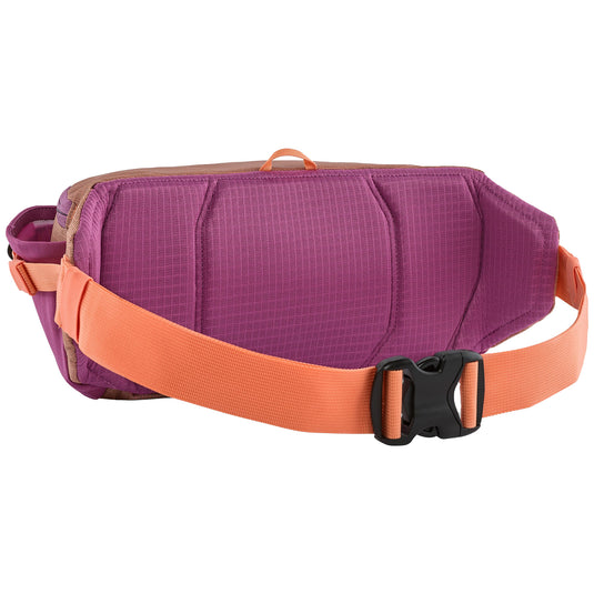 Patagonia Black Hole Waist Pack