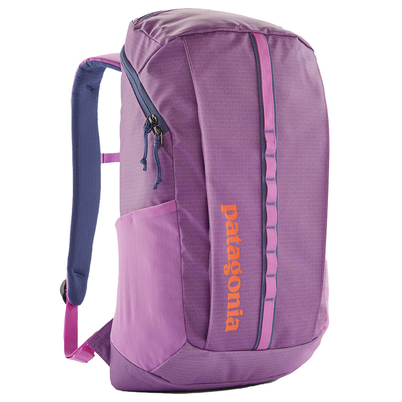 Load image into Gallery viewer, Patagonia Black Hole Backpack - 25L
