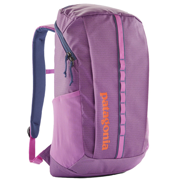Patagonia Black Hole Backpack