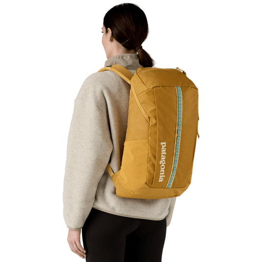 Patagonia Black Hole Backpack