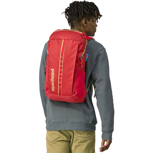 Patagonia Black Hole Backpack