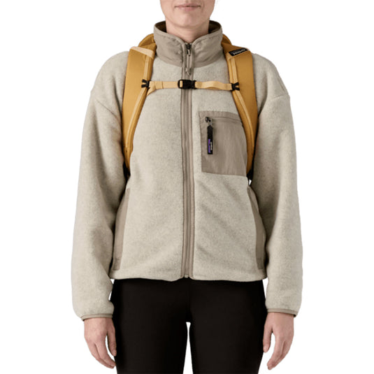 Patagonia Black Hole Backpack - 32L