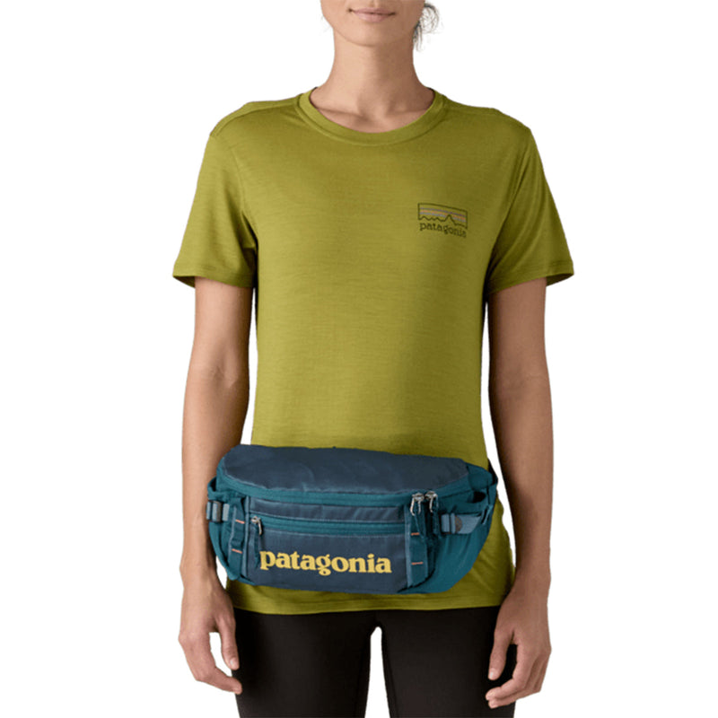 Load image into Gallery viewer, Patagonia Black Hole Waist Pack - 5L

