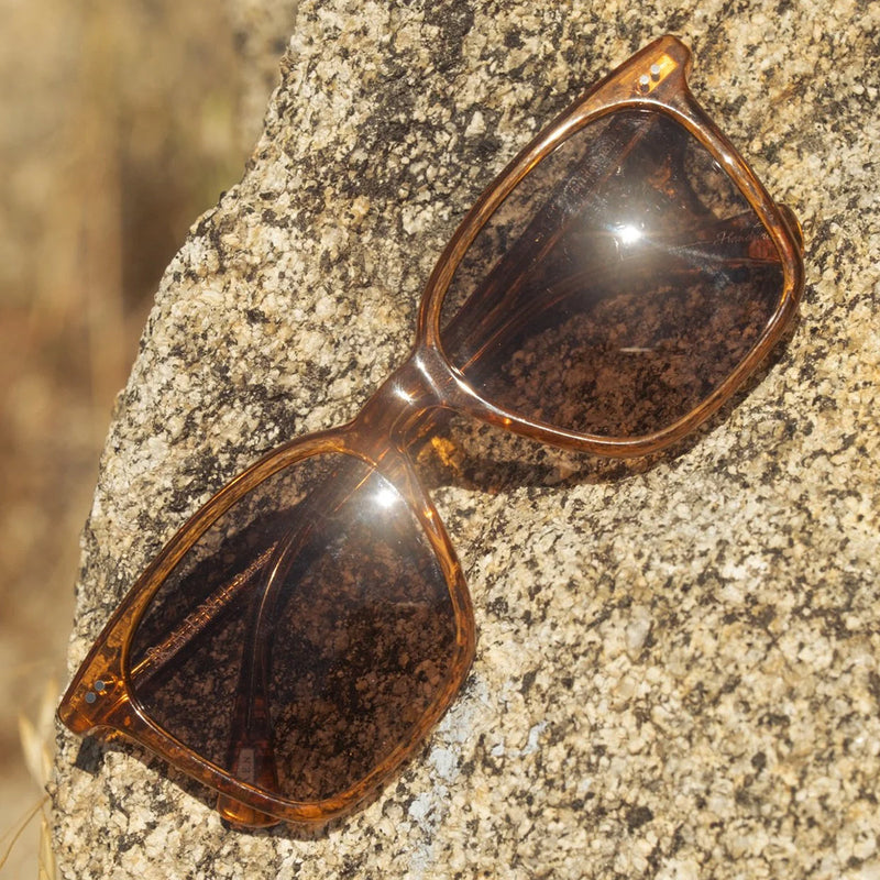 Load image into Gallery viewer, RAEN Women's Darine Sunglasses - Golden Hour/Daydream 6
