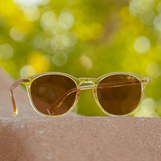 RAEN Basq Sunglasses - Champagne Crystal/Suntan 10