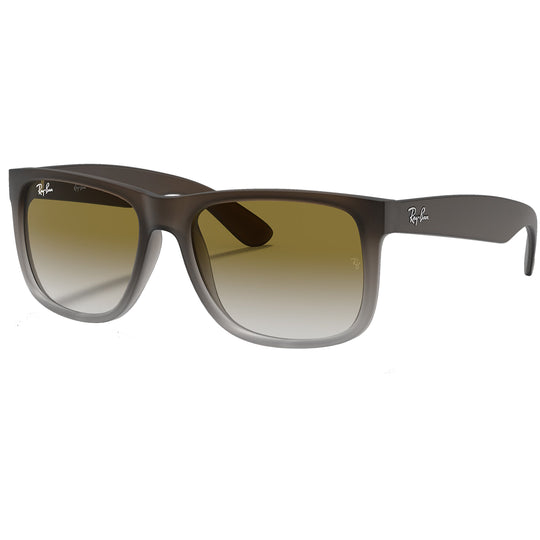 Ray-Ban Justin Classic Sunglasses - Matte Brown/Green