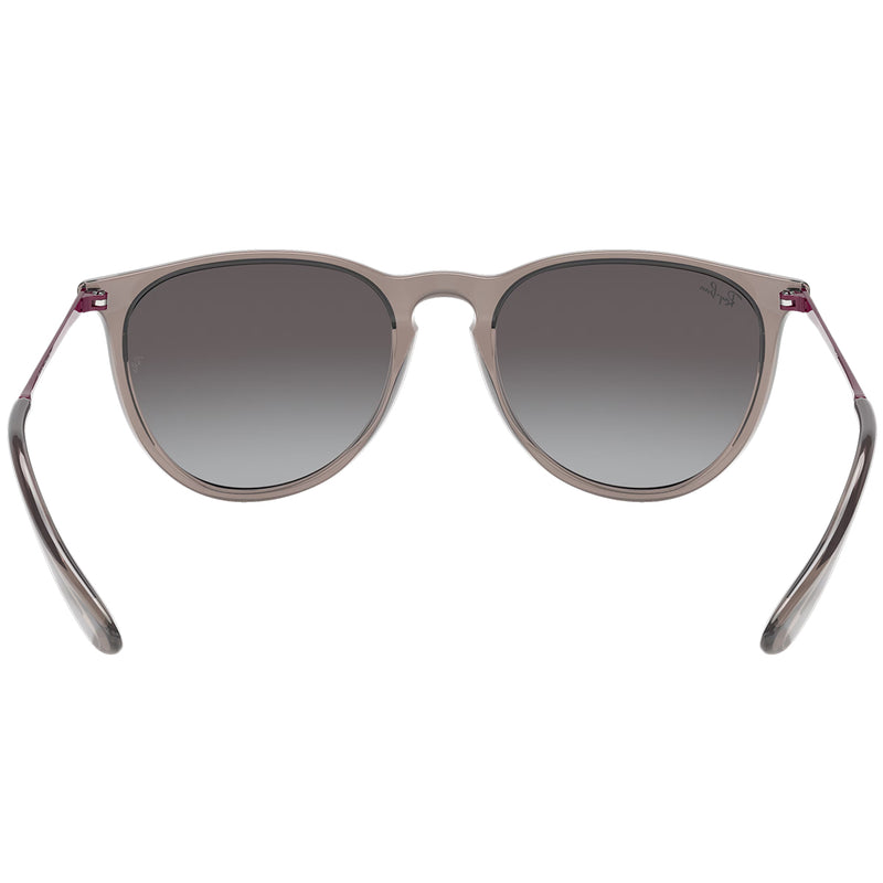Load image into Gallery viewer, Ray-Ban Erika Color Mix Sunglasses - Polished Transparent Grey/Grey
