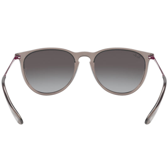Ray-Ban Erika Color Mix Sunglasses - Polished Transparent Grey/Grey