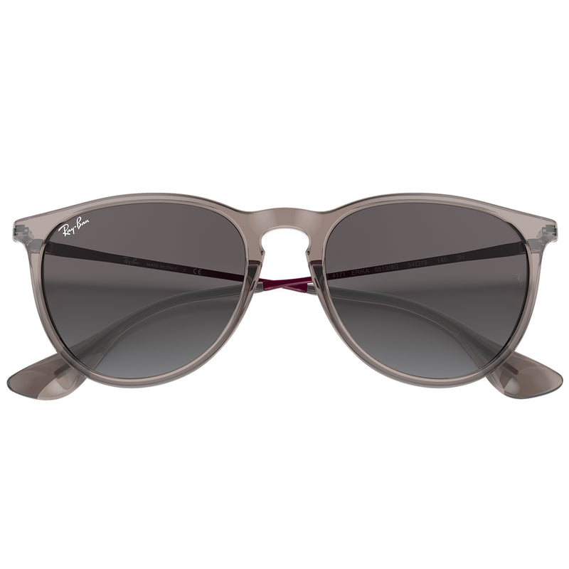 Load image into Gallery viewer, Ray-Ban Erika Color Mix Sunglasses - Polished Transparent Grey/Grey

