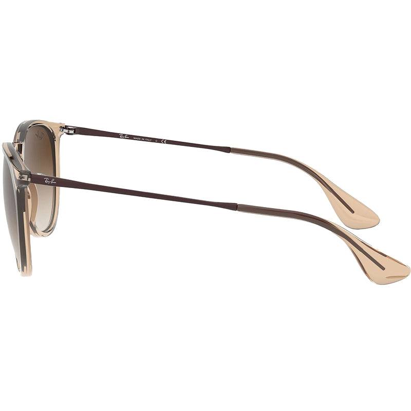 Load image into Gallery viewer, Ray-Ban Erika Classic Sunglasses - Polished Transparent Light Brown/Brown
