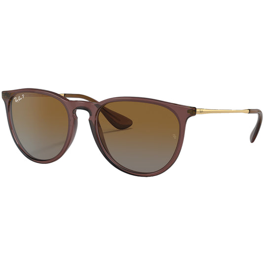 Ray-Ban Erika Classic Polarized Sunglasses - Polished Transparent Dark Brown/Brown 1