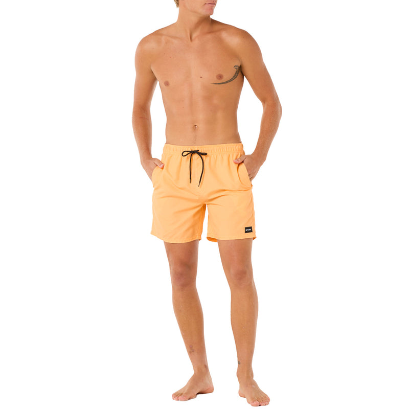 Load image into Gallery viewer, Rip Curl Bondi Volley 17" Boardshorts 5
