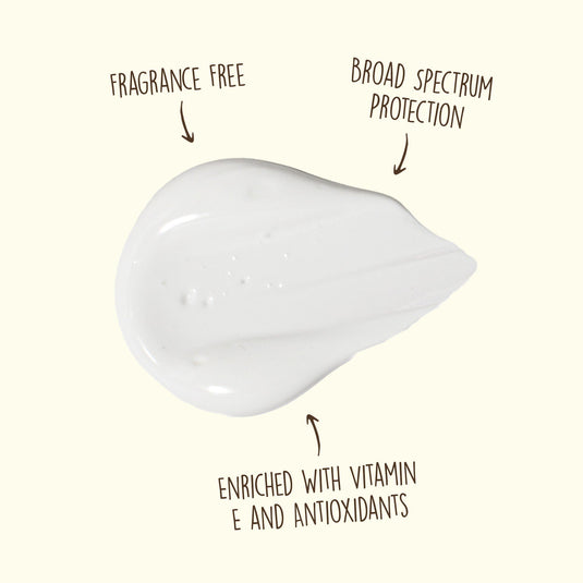 Sun Bum Original Sunscreen Face Lotion - SPF 50