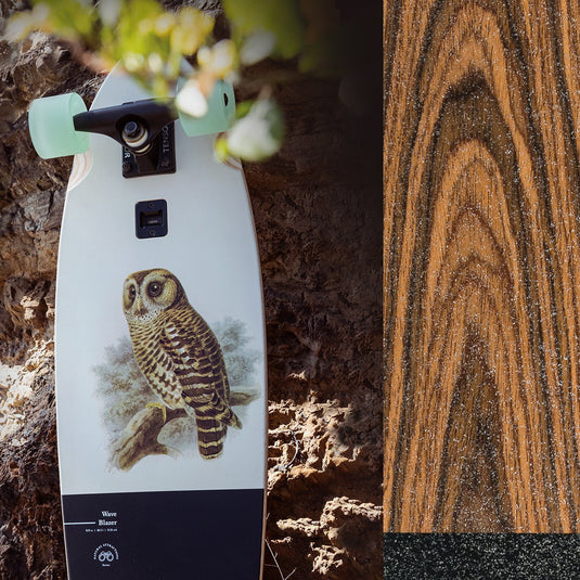 Globe Wave Blazer Hoot Owl 31" Skateboard Complete
