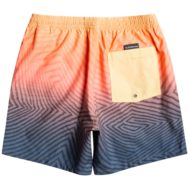 Load image into Gallery viewer, Quiksilver Everyday Warped Logo Volley 17&#39;&#39; Boardshorts
