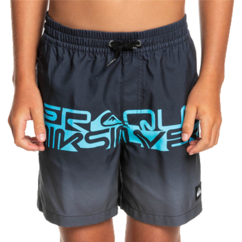 Load image into Gallery viewer, Quiksilver Youth Wordblock Volleys 14&quot; Boardshorts

