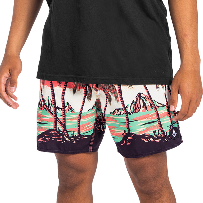 Load image into Gallery viewer, Volcom Novelty 17&quot; Boardshorts
